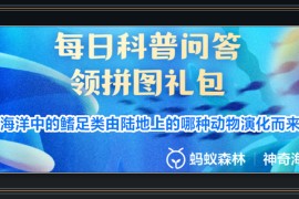 支付宝神奇海洋游戏鳍足类答题答案